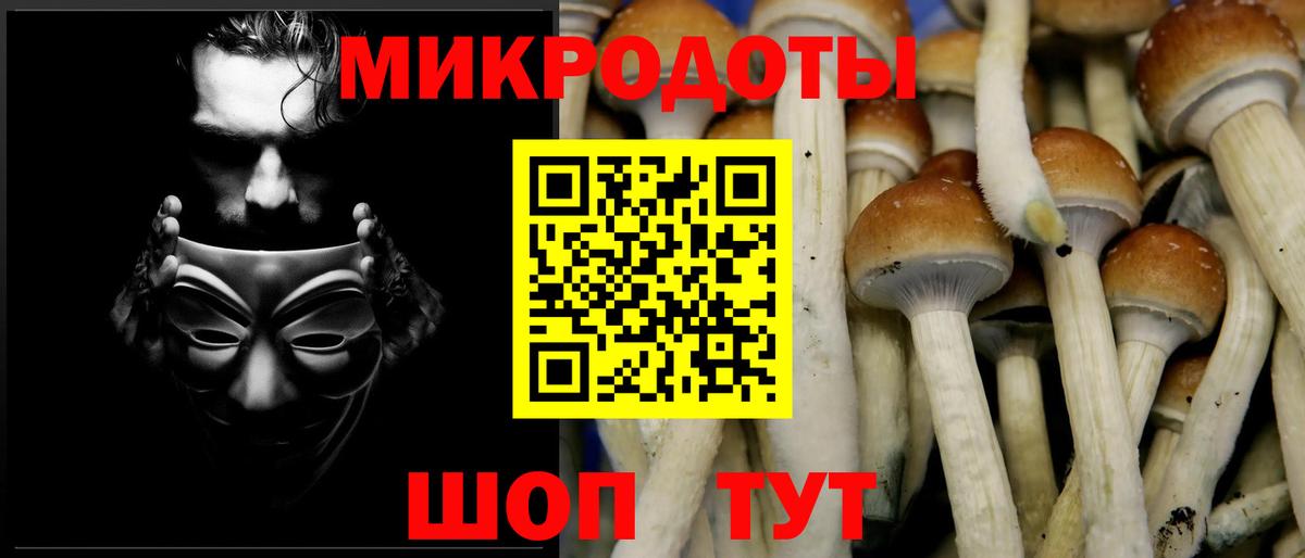 Галлюциногенные грибы Psilocybe  Псилоцибиновые грибы прущие грибы  Новоалександровск  Вход с VPN 